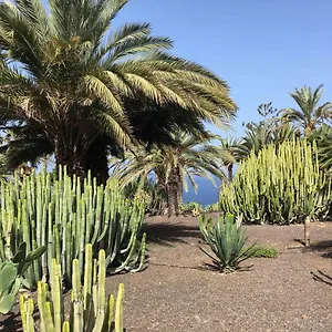 https://club-marazul.tenerifehoteles.net