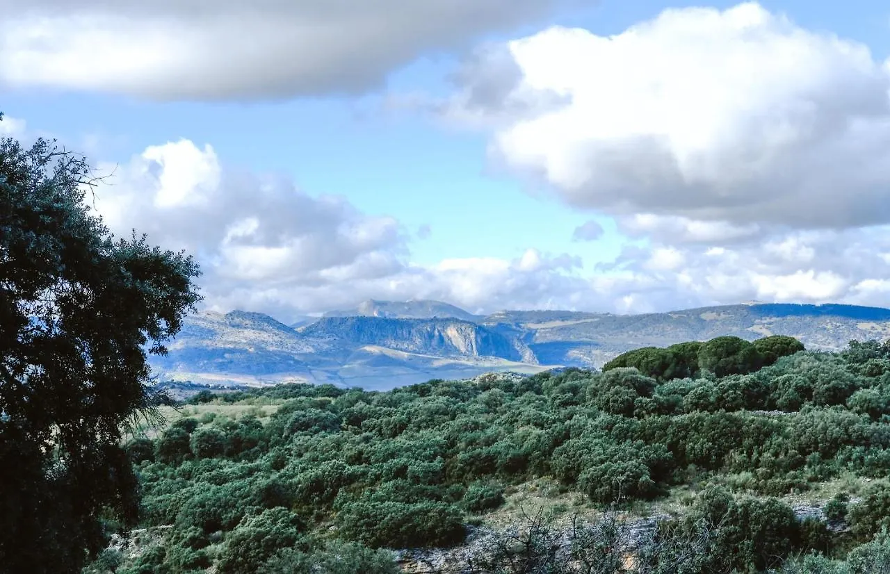 Los Pilares De Ronda Boutique & Hotel