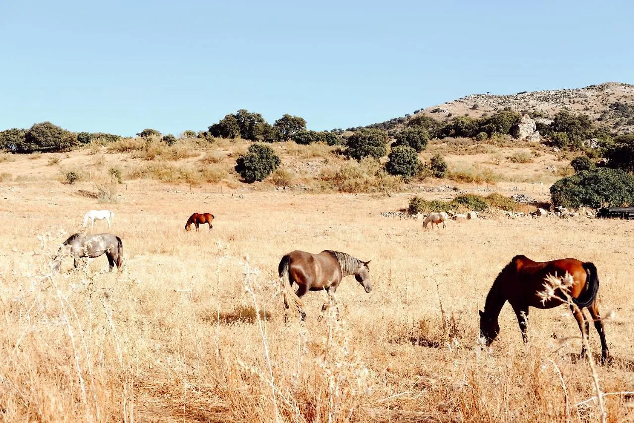 ****  Los Pilares De Ronda Boutique & Hotel Spanien